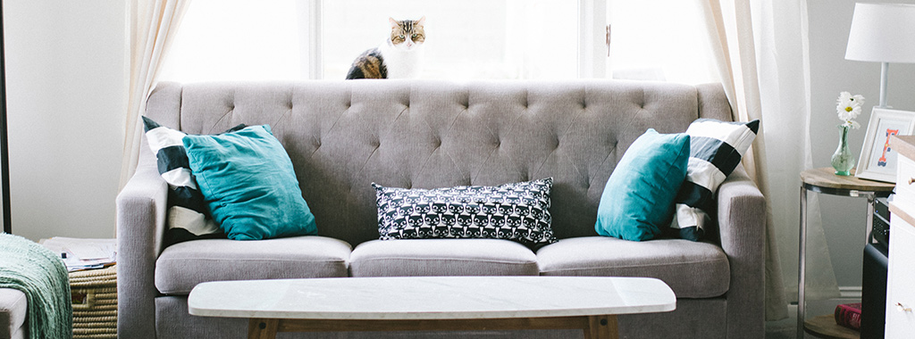 Cheap Sofa Cushion Replacement Foam
